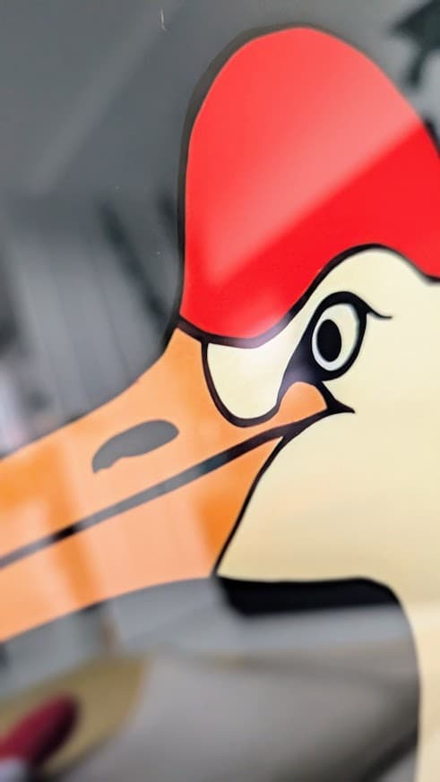 Close-up showing vibrant color reproduction